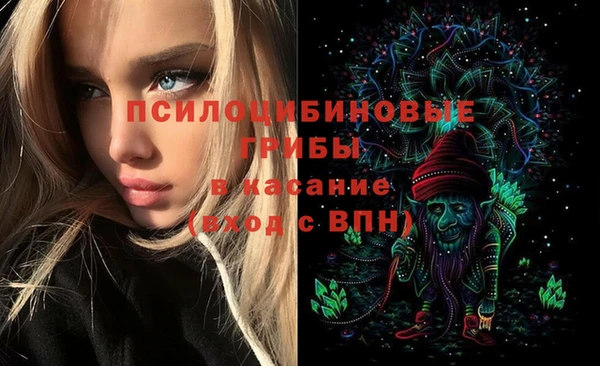 шишки Бронницы