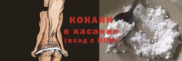 соль ск Бородино