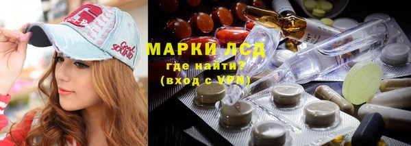 шишки Бронницы